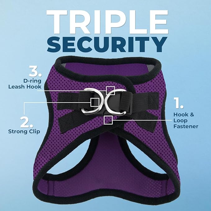Best Pet Supplies Voyager Step-in Air All Weather Mesh Harness and Reflective Dog 5ft Leash Combo with Neoprene Handle, for Small, Medium and Large Breed Puppies - Set (Purple/Black Trim), Medium