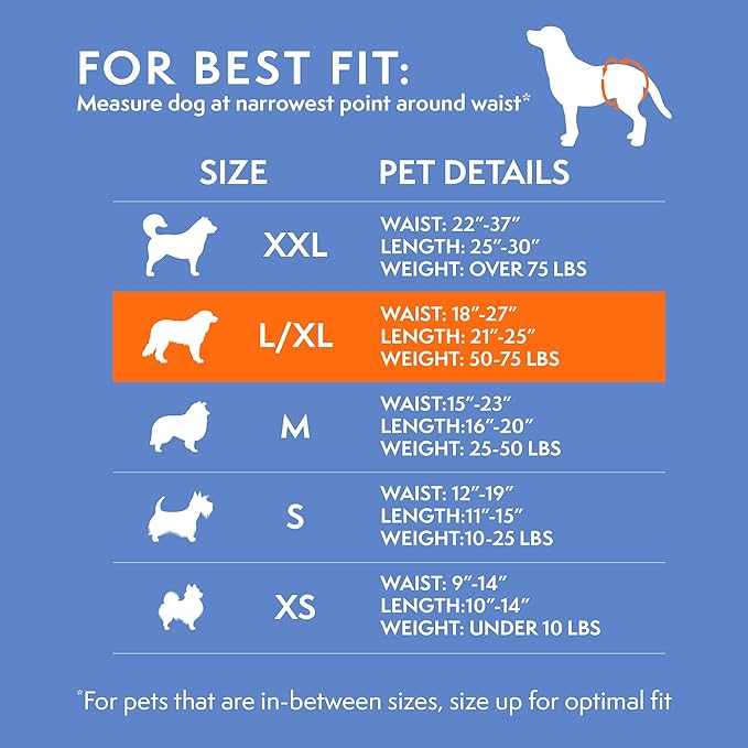 Simple Solution Disposable Dog Diapers, Female Dog-Diapers, Puppy Potty Training, Incontinence and Heat Cycle Protection, Large-Diapers for Dogs, 18-27 Inch Waist, 30 Count (Pack of 2)