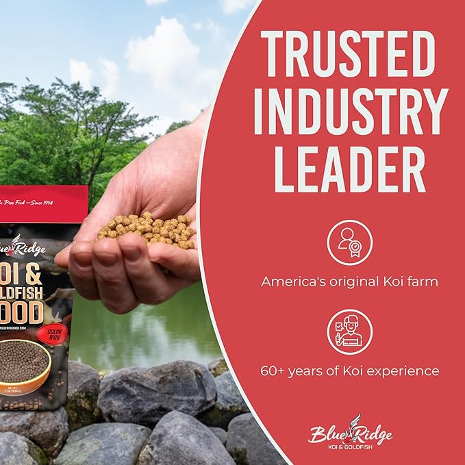 Blue Ridge Koi Fish Food 2lb - Koi Food Color Growth Formula, Goldfish Food, Premium Fish Food for Ponds, Ponds Fish Food, Floating Pond Pellets