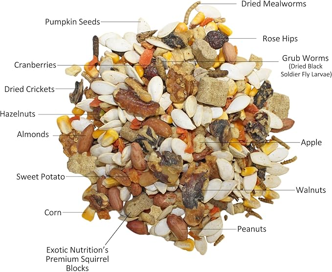 Exotic Nutrition Squirrel Complete (15 lb.) - Healthy Natural Food for Pet & Captive Squirrels - Ground, Grey, and Flying Squirrels, & Chipmunks