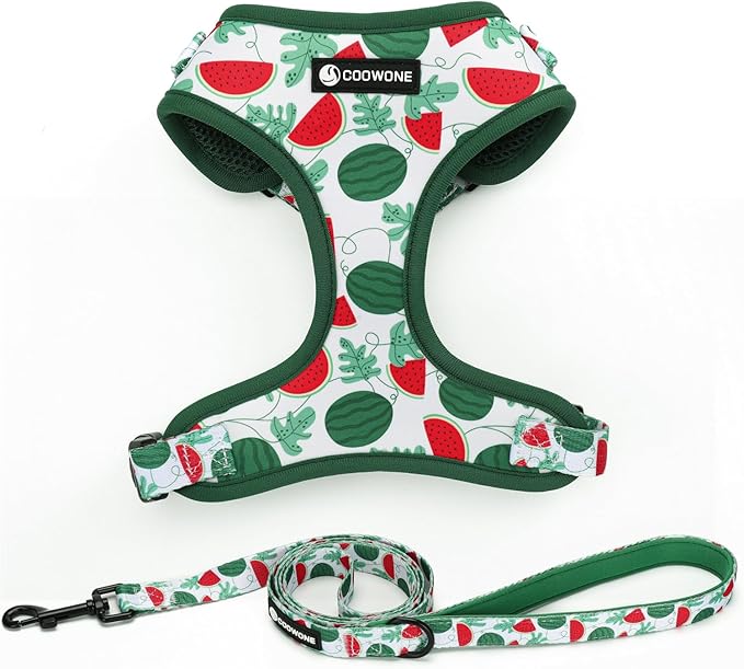 Dog Harness and Leash Set, Adjustable Dog Harness, Dog Leash, No Pull No Choke Puppy Harnesses for Walking Training for Small Medium Pet (Green Watermelon, L(Chest 18.5-27.1", Neck 14.5-20.1"))