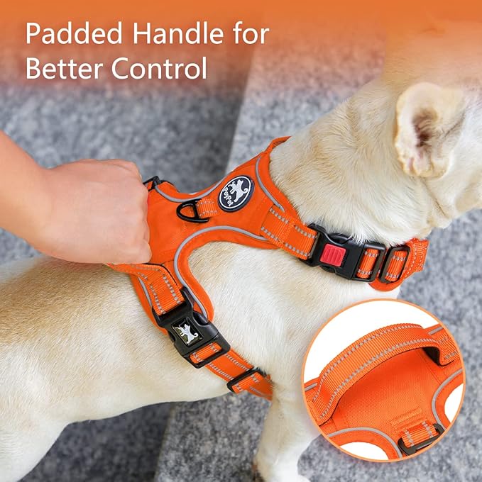 PoyPet No Pull Dog Harness, No Choke Reflective Dog Vest, Adjustable Pet Harnesses with Easy Control Padded Handle for Small Medium Large Dogs(Orange Matching Trim,XL)