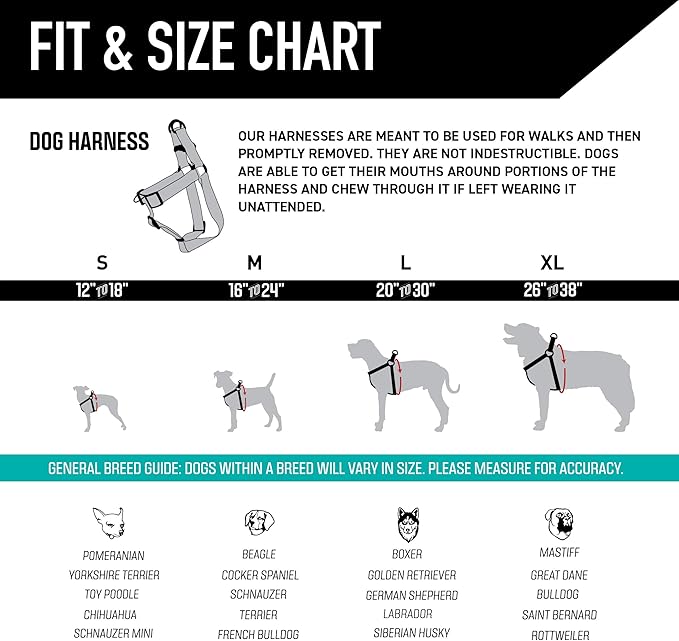 Wolfgang Heavy Duty Adjustable Dog Harness, Pull-Tested to Over 800 lbs for Walking & Training, Quetzal Print, Small
