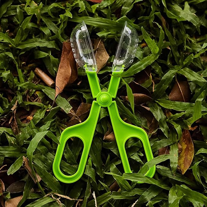 Reptile Feeding Clamp Reptile Poop Scoop Cage Fish Tank Cleaning Tools Green Feeding Tool Feeding Clamp Litter Clamp for Gecko Lizard Bearded Dragon