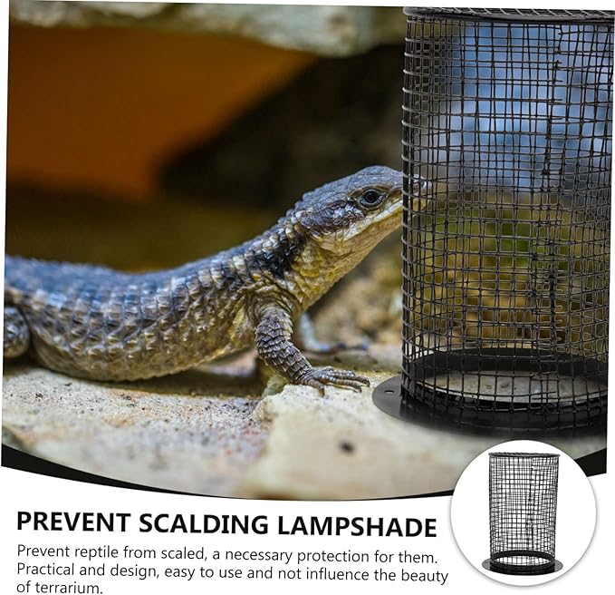 DOITOOL 1pc Heating Lamp Shade for Reptiles Anti-scalding Cover Efficient Heat Dissipation Durable Habitat Decor for Terrarium Lighting