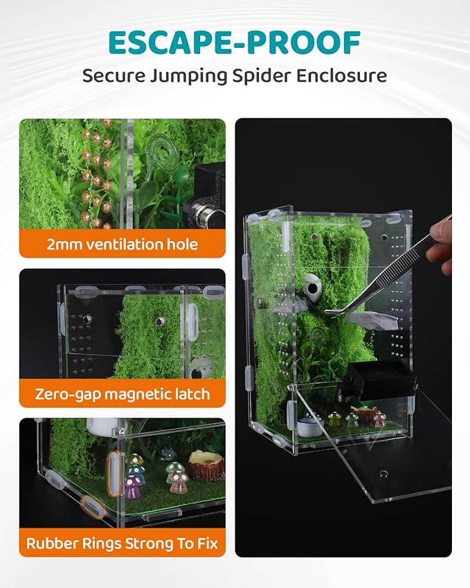 DIY Jumping Spider Enclosure, 4.7"x4.7"x7.9" Escape-Proof Spider Terrarium, Small Invertebrate Acrylic Accessories Set, with Temperature and Humidity Detector, Platform and Hide, Tweezer, Feeding Bowl