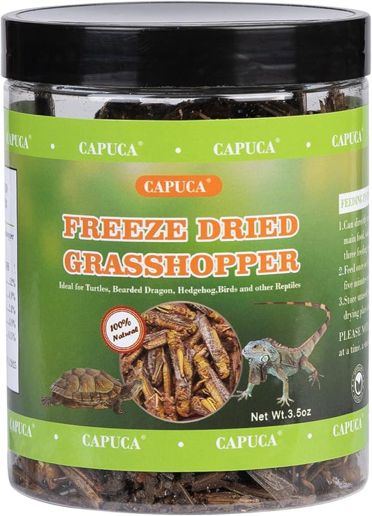 Dried Grasshoppers for Reptiles - All Natural High Protein Insect Treats for Bearded Dragons, Turtles, Geckos, Lizards, Hedgehogs & Birds (3.5oz)