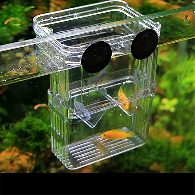 Fish Tabk Double Layer Clear Fish Farming Isolation Aquarium Planting Fish Tank Incubator Fish House Home Ecological Landscape Cool Fish Tank(Small)