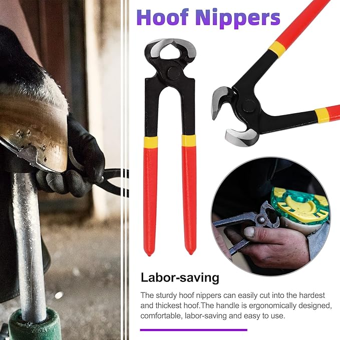Swpeet 5Pcs Professional Farrier Tools Value Supplies Kit with Roll Pack, Mini 8 Inch Rasp Hoof File, 8 Inch Hoof Nipper, Horseshoe Brush, Horses Hoof Trimmers Shears Tools, Hoof Cutter for Horse