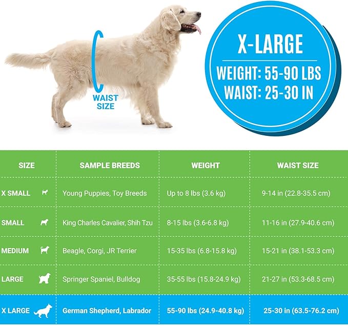 Bodhi Dog Disposable Male Dog Diapers - Super Absorbent, Leak-Proof Pee Wraps - Adjustable Fit, Comfortable Design, Advanced Moisture Control, and Wetness Indicator - Extra Large (20 Count)