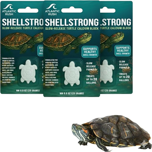 Shellstrong Premium Calcium Block for Aquatic Turtle - Slow Release Water Tank Conditioner - Cuttlebone for Aquarium - Turtle Tank Accessories - 20 Gallon Aquatic Treatment (3 Calcium Blocks)