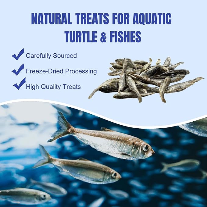 Amzey 3 Pack 0.8Oz (Total 2.4Oz or 68Gram Dried River Fish - Natural Food for Turtles, Terrapins, Reptiles and Large Tropical Fish