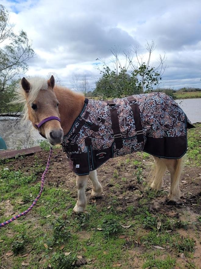 42" 1200D Miniature Weanling Donkey Pony Horse Foal Winter Blanket 51980B