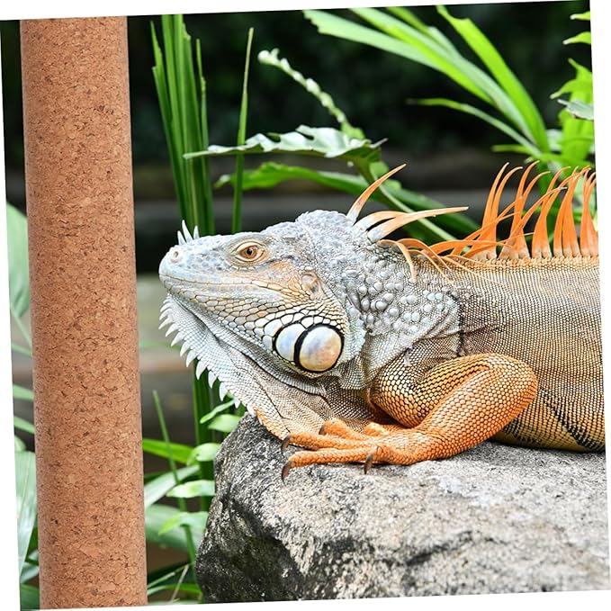 Kisangel Cork Climbing Stick for Reptiles Decoration for Lizards Frogs Small Pets Relief Exercise for Terrariums Tanks