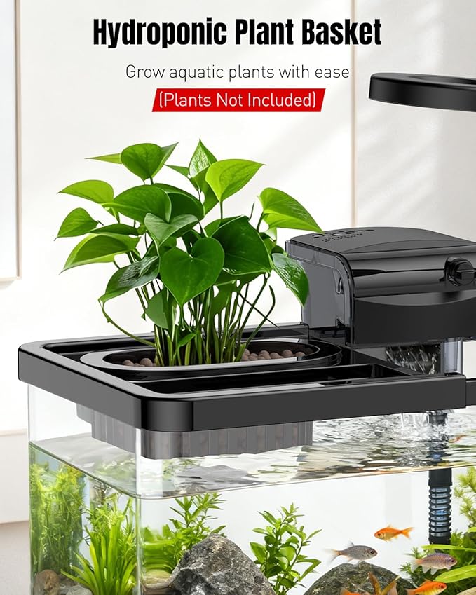 Pawfly 2.75 Gallon Fish Tank, Small Aquarium Kit, Betta Fish Tank Starter Kit with 6 W LED Light, 65 GPH Filter, Siphon Vacuum Water Changer & Basket, Aquarium for Betta, Shrim, or Small Fishes