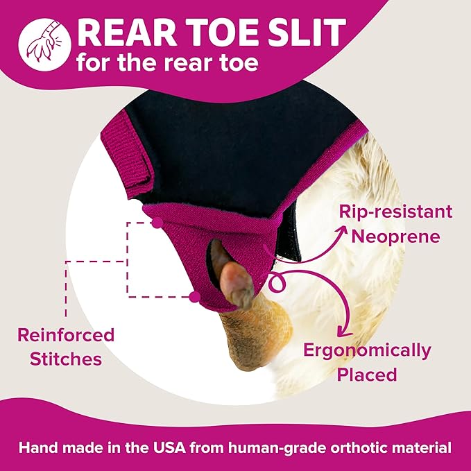 Chicken Shoes for Injured Feet – Protective Neoprene Footwear for Chicken, Open-Toe Design for Bumblefoot Relief, Made in USA - Large, 4" Max. Inside Width, Pink