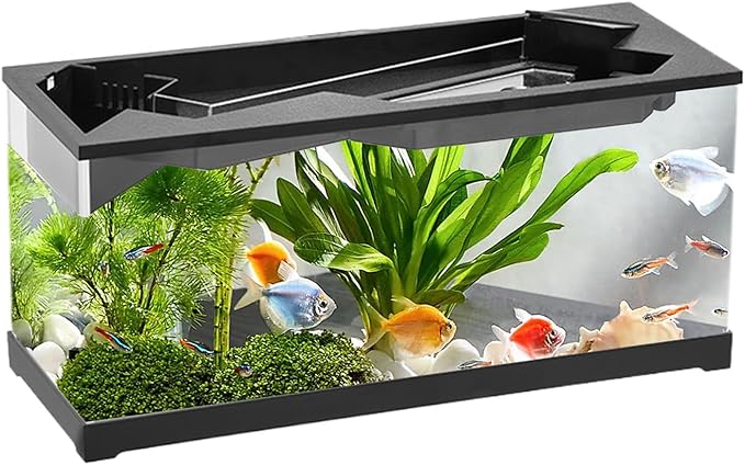 Acrylic Aquarium – Clear Cube Tank, Air Circulation Pump | Starter Kit with Lighting System, Silent Filter Housing, Desktop Pet Environment for Bedroom Studio Shelf Decor, Easy-Maintain Bow