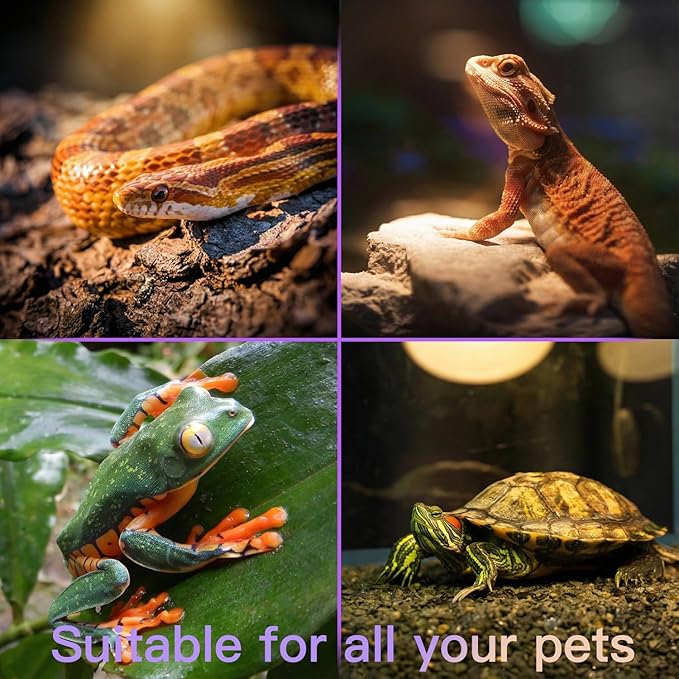 All-in-One Reptile Heat Lamp Bundle, Dual-Head UVB&UVA Lamp with Timer & Hygrothermograph, High UVA Lighting for Turtle, Tortoise, Bearded Dragon, Lizard, Snake, Amphibians, Easy to Install