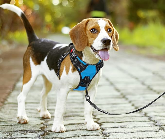 PoyPet No Pull Dog Harness, No Choke Front Lead Dog Reflective Harness, Adjustable Soft Padded Pet Vest with Easy Control Handle for Small to Large Dogs(Blue,M)
