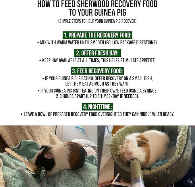 Sherwood Pet Health Guinea Pig Timothy Recovery Food (800g). Grain Free, Soy Free. Great Taste that Guinea Pigs Love with Motility Herbs.