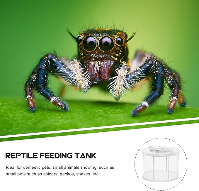 balacoo Reptile Breeding Box Acrylic Reptile Terrarium Cage Tank Tarantula Scorpion Sling Lizards Mantis