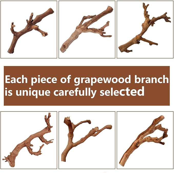 BNOSDM 2PCS Reptile Wood Branches Decor,Lizard Habitat Natural Wood Decoration,Snake Climbing Branch Accessories,Terrarium Tree Trunk Ornament for Bearded Dragon Gecko Frog Chameleon Spider