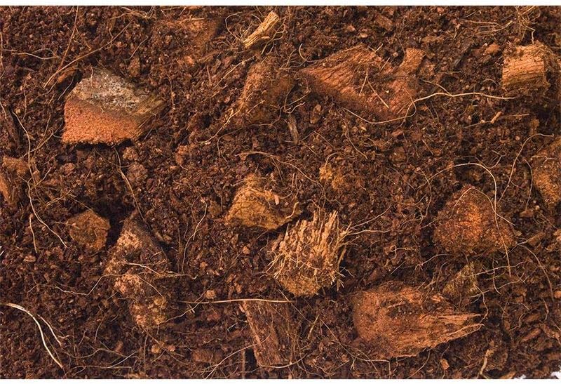 T-Rex Reptile Terrarium Substrate Bedding- Jungle Bed 4qt Bag (4qt)