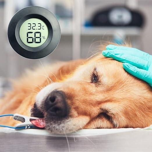 Electronic LCD Digital Thermometer Hygrometer Round Temperature Humidity Meter for Glass Container Fishtank Hygrometer Indoor Humidity for Reptiles Hygrometer Thermometer for Tank