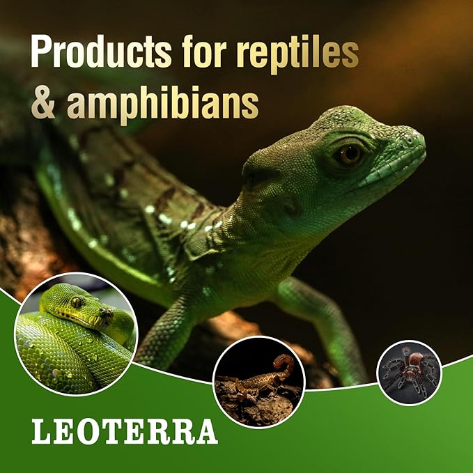 Leoterra 100W High-Power Reptile Red Heat Lamp 2-Pack, Intense Infrared Night Heat Bulb with Thickened Glass, 2000+ Hours for Large Tortoise, Iguana, 40-75 Gal Tank E26 Base 110v