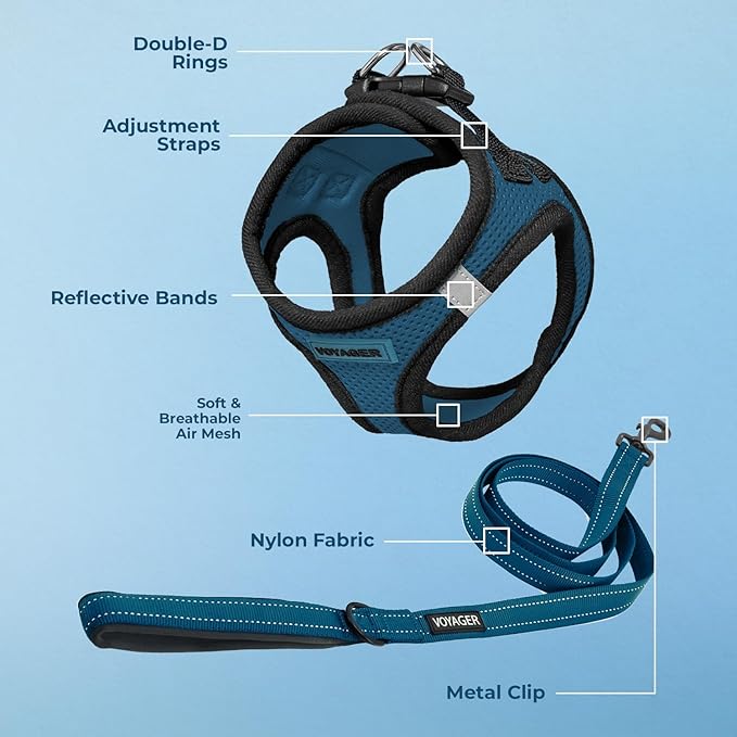 Best Pet Supplies Voyager Step-in Air All Weather Mesh Harness and Reflective Dog 5ft Leash Combo with Neoprene Handle, for Small, Medium and Large Breed Puppies - Set (Blue/Black Trim), Small