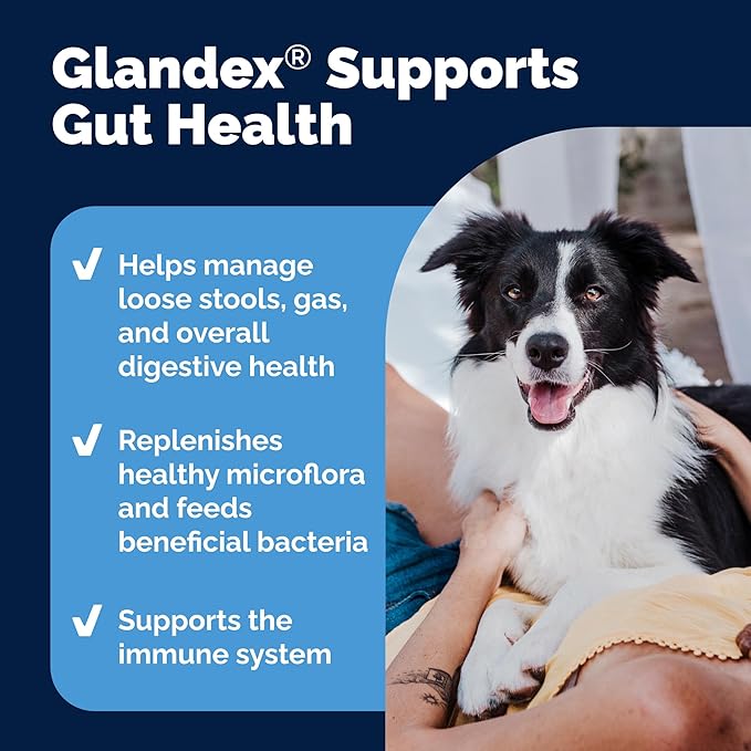 Vetnique Glandex Daily Probiotics for Dogs with Prebiotics to Support Gut Health, Diarrhea with Fiber and Digestive Enzymes, Dog Probiotic Chews or Powders (60ct Chews, Bacon Chews)