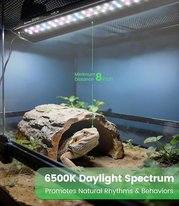 12W T5 UVB LED Reptile Light – High Output UVA UVB Light for Bearded Dragon, T5 10.0 UVB Reptile Light Fixture (19.6")