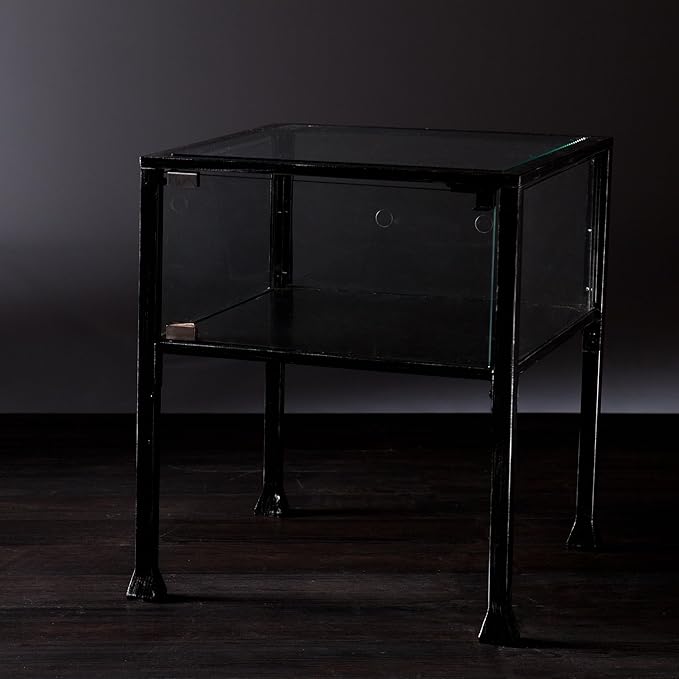 SEI Furniture Terrarium Display End Table, Black/Silver Distressing