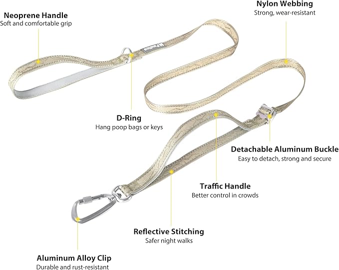 Dog Leash and Collar, Dog Seat Belt for Car, Reflective Nylon, Metal Buckle, IP68, Padded Handle Leash, Durable and Comfortable, for Small Medium Large Dogs (Champagne Gold, M)