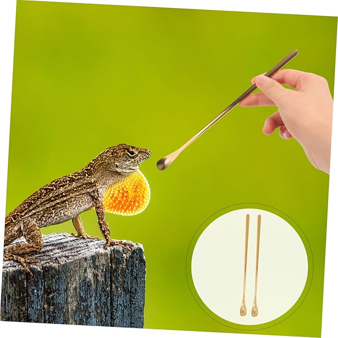 HANABASS 2pcs Stainless Steel Food Scoop for Reptiles and Small Animals Durable Feeding Spoon Convenient Pet Food Feeder Tool Lightweight and Portable for Lizard and Other Pets