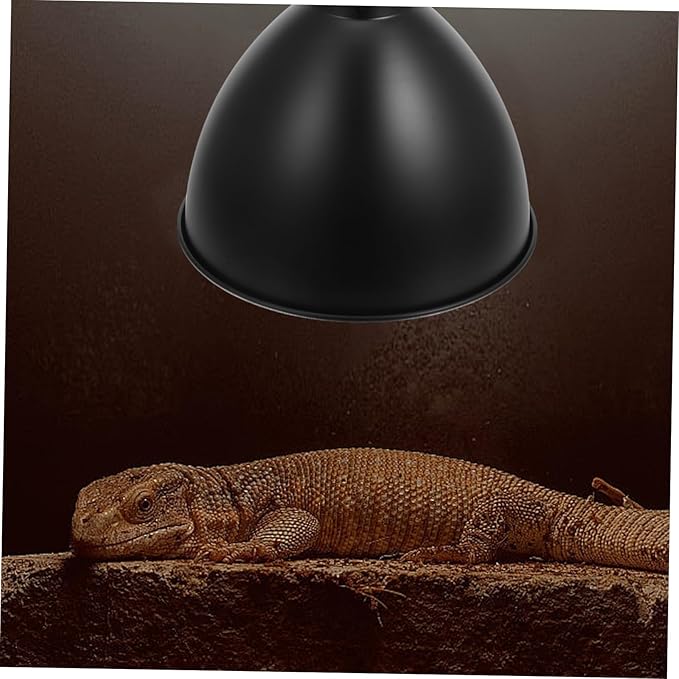 Cabilock 2pcs -Scald Reptile Heat Lamp Shade Insulated Reflector Cover for Terrariums Energy Efficient Design Material Essential Accessory for Reptile Owners