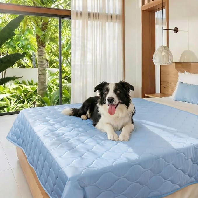 Luciphia Waterproof Cooling Mat for Dogs Couch Cover Q-MAX>0.5, Leakproof Pet Pad Non-Slip Throw Blanket for Cat Puppy Crate Bed Protector Outdoor (Light Blue, 60x80 inches)