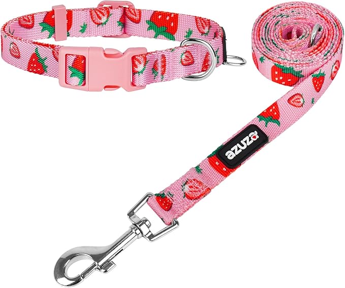 azuza Fruit Dog Collar and Leash Set, Collar Nylon and Matching Leash, Great Option for Large Dogs, Strawberry, L (Neck: 18"-26")