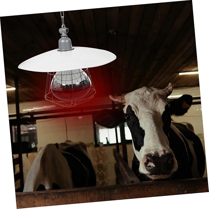 IMIKEYA 1pc Livestock Cage Heating Lamp Safe Warming High-Temperature Resistant Bulb Easy to Install Heating Supply for Reptiles and Livestock