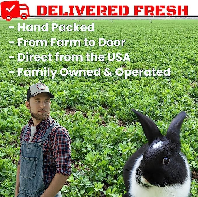 Bunny Honey Bulk Fresh Alfalfa Hay 80oz USDA Organic Alfalfa Hay for Baby Bunnies - Best Cut & Delivered Fresh - Promotes Healthy Digestive Function - 5 Pound