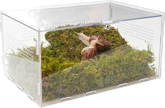 Snail Terrarium Kit with Climbing Accessories11.22 L x 7.87" W x 6" H Clear Small Animal House for Snails, Caterpillars& Small Critters – Includes 7" Climbing Wall and Substrate