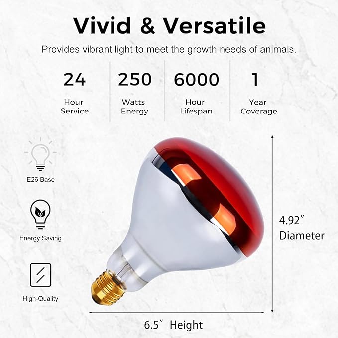 250W Heat Lamp Red Infrared Bulbs, Flood Light Heat Lamp Bulb for Food Service, Brooder Bulb, Chicks, Pet, Bathroom, Light Therapy Use, Glass, 2 Pack