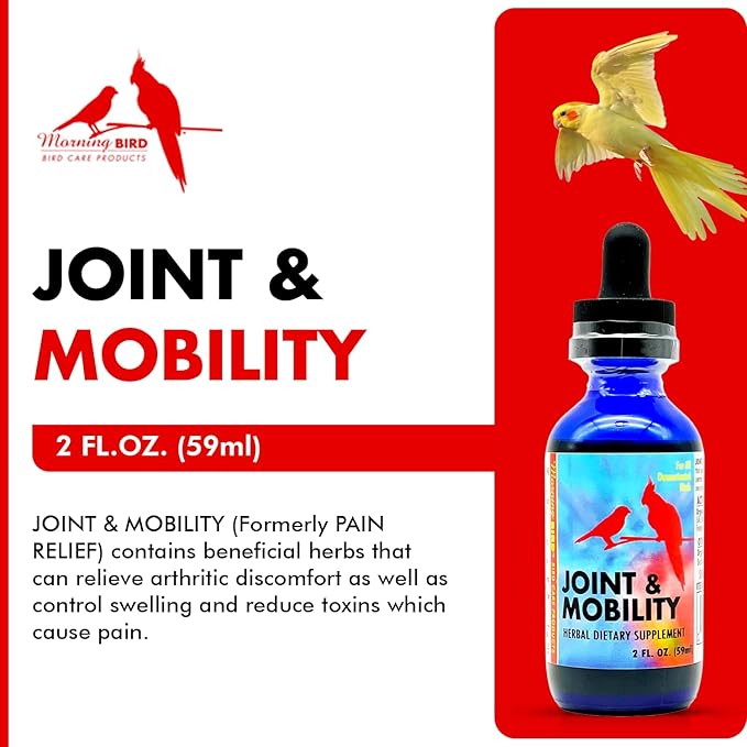 Morning Bird Joint & Mobility 2 fl oz – Herbal Liquid Supplement for Birds – Supports Joint Health, Muscle Comfort & Mobility – Ideal for Aging or Recovering Birds