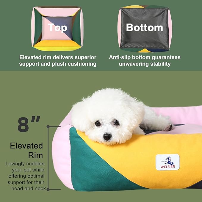 290 GSM Cotton Canvas Dog Couch Bed, Washable Removable Cover, Tough Bolster with Supportive Chopped Foam, Anti-Slip Bottom (Small)