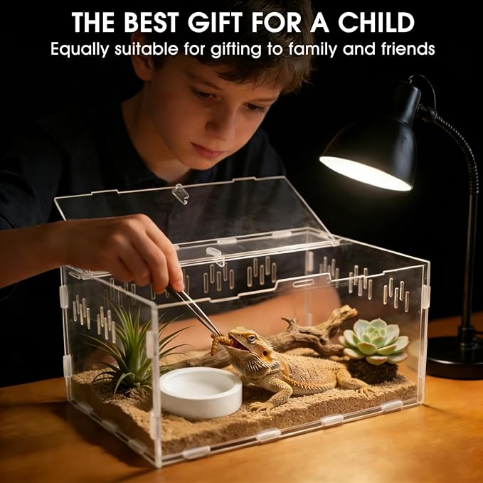 Acrylic Reptile Terrarium, Tarantula Enclosure with Magnetic Door, Easy-Clean Reptile Tank for Spider, Insect, Gecko, Mantis, Frog, Snail, Isopods(Tweezer and Bowl Included)