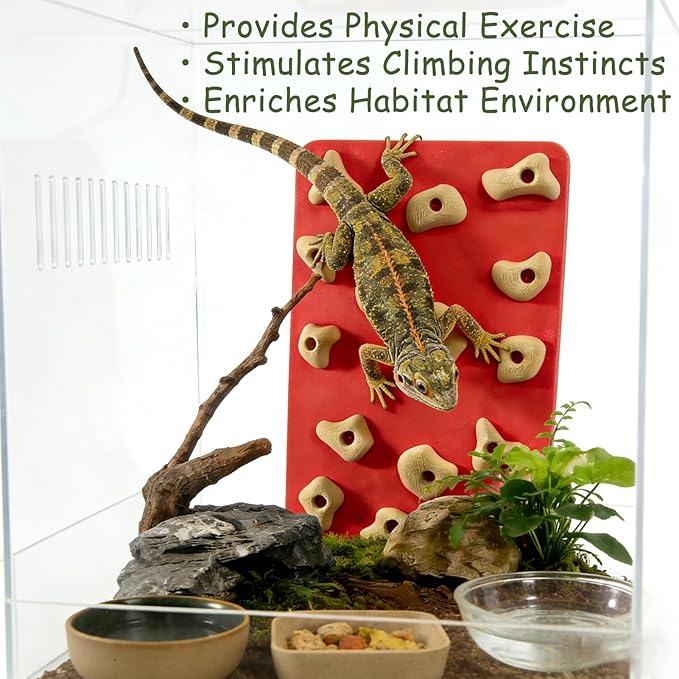 Mini Reptile Rock Climbing Wall, Terrarium Enclosure Enrichment & Habitat Décor for Bearded Dragons, Geckos, Lizards, Snakes, Tree Frogs and Small Amphibians (Red & Beige)