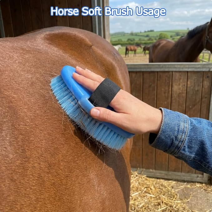 Horse Grooming Kit, 13-Piece Horse Brush Set with Organizer Bag Complete Care, Mane Braiding Kit, Brushes & Curry Comb for Effective Grooming, Ideal Supplies Set for Horses Riders Beginners