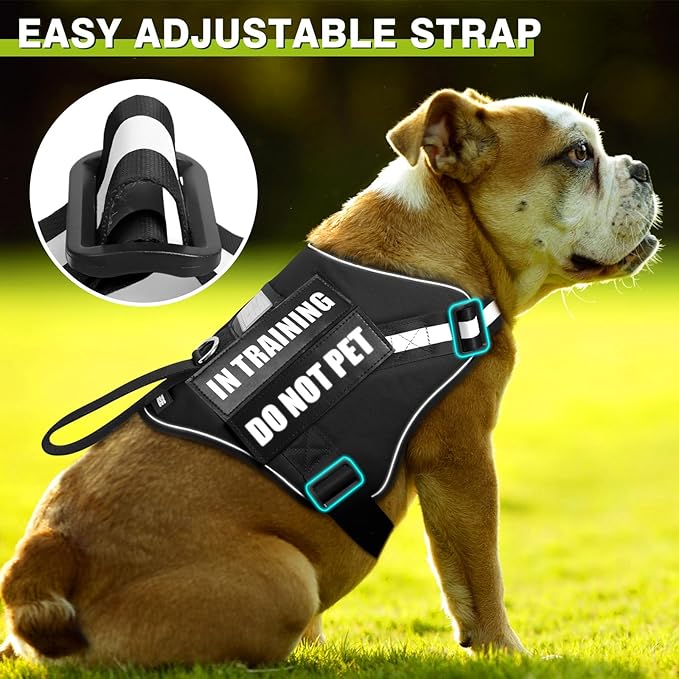 Service Dog Harness and Leash Set, Training Dog Vest with 10 Dog Patches, Emotional Support Therapy Dog Vest Harness for Small Medium Large and Extra Large Dogs(Black, XL)