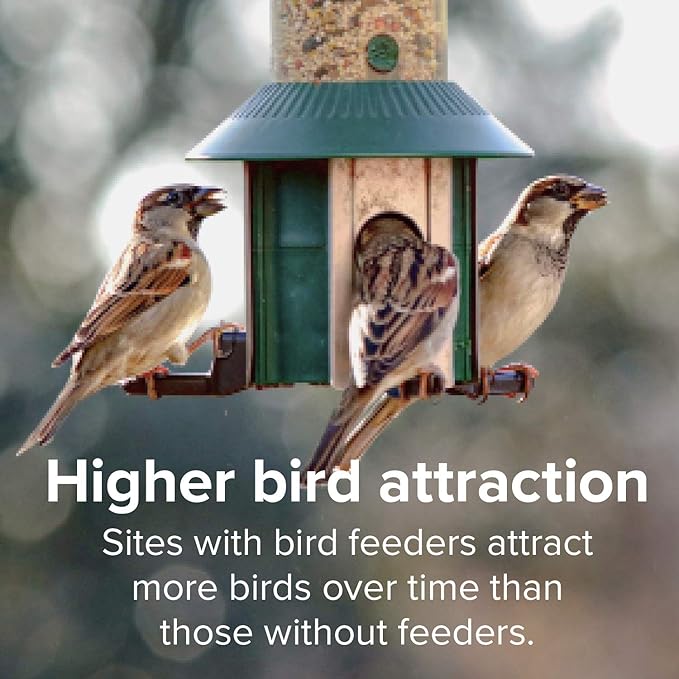 Blue Seal Song Maker Supreme Wild Bird Seed | High Energy Mix, No Fillers | Attracts Wide Variety of Wild Outside Birds | Convenient Shell-Free Mix | Made in USA | 8 Pound Bag