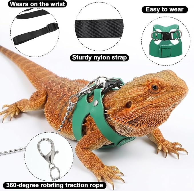 3 Pack Bearded Dragon Leash and Harness Set 3 Size Adjustable Lizard Harness Bearded Dragon Outfits for Reptile Small Animals Training Walking, Easy to Put on and Take Off (Green)